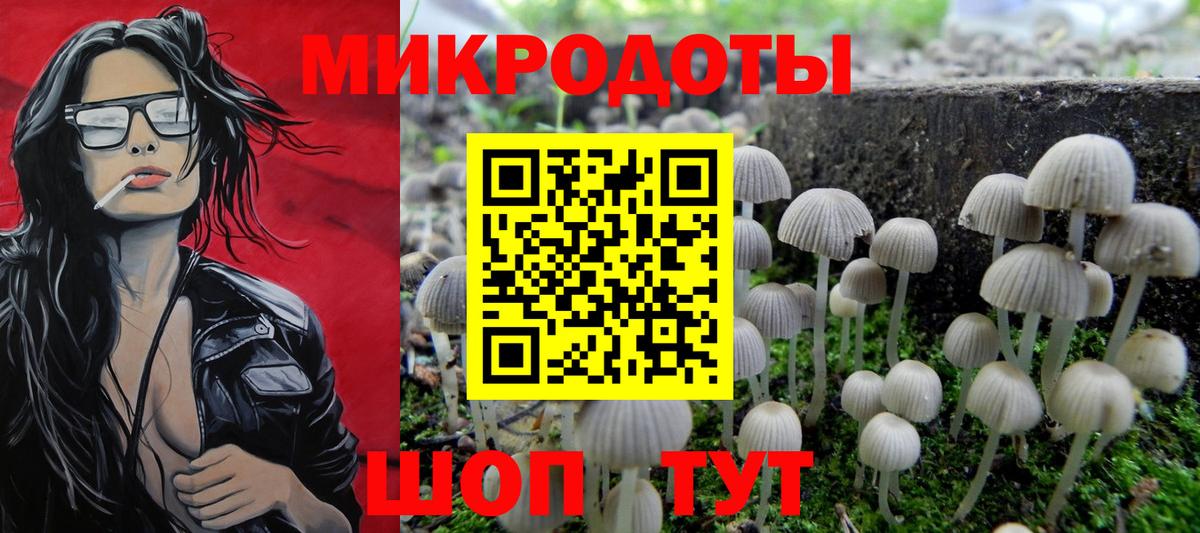 Кировск  Галлюциногенные грибы MAGIC MUSHROOMS  Вход с VPN 